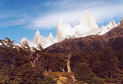 Galeria Argentyna - Cerro Torre, obrazek 4