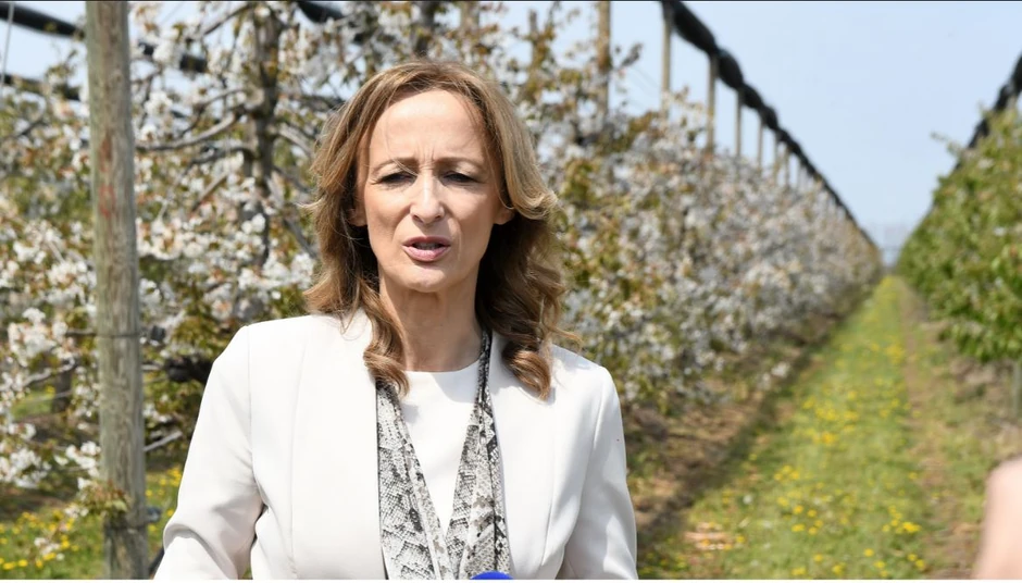 Nataša Novčić Zubac