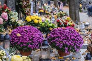 Wszystkich Świętych. Ile trzeba zapłacić za znicze i kwiaty?