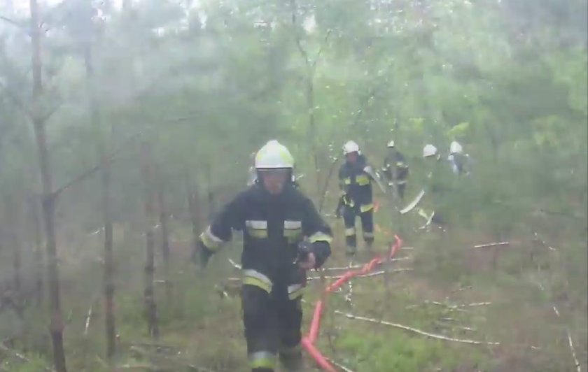 Policja szuka podpalacza grasującego pod Kaliszem