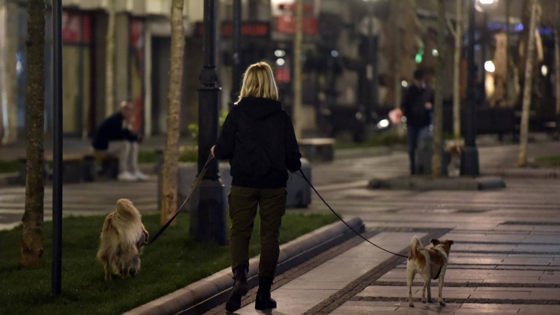 Svima vama koje nas zovete kučkari... Beograđanin odgovorio hejterima