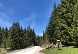 Planina Golija