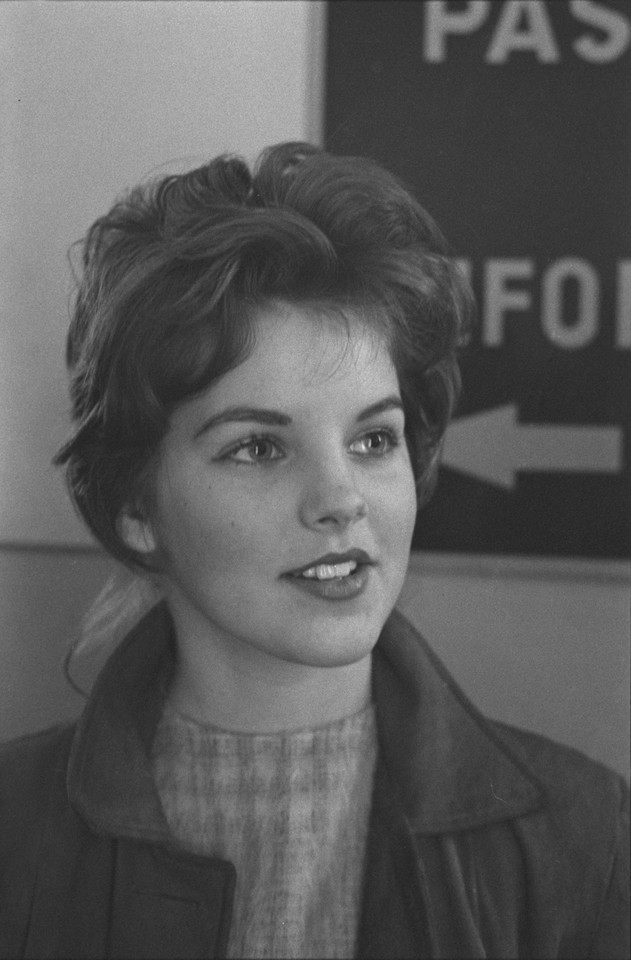 Priscilla Presley w 1960 roku