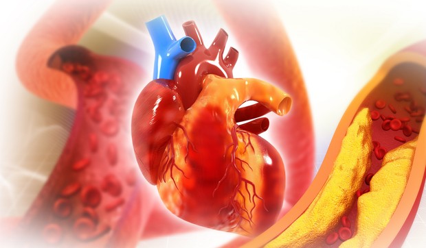 Arterije su krvni sudovi koji prenose krv bogatu kiseonikom kroz telo