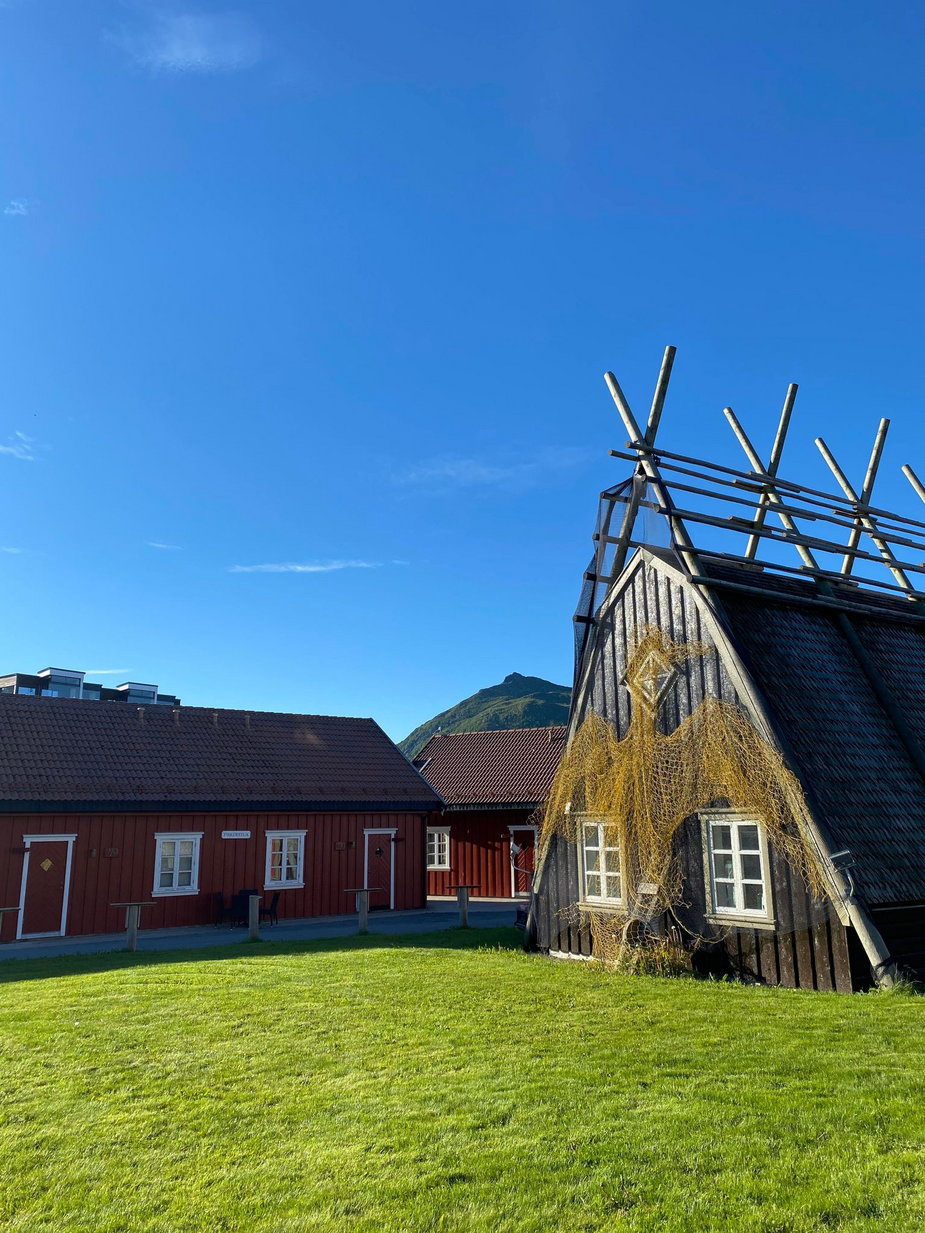 Norwegia naturą stoi