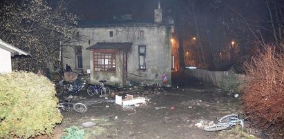 Gehenna w Częstochowie: 21 zwierząt i troje dzieci pod jednym dachem. Tata w więzieniu, mama już też