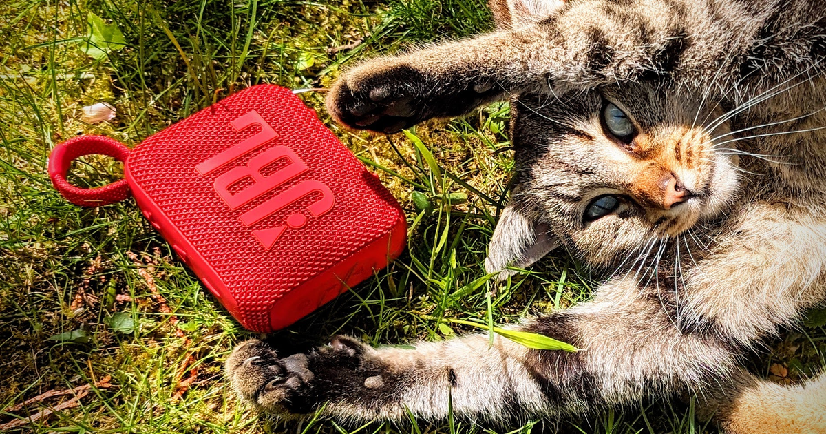 Top 5: Der beste Mini-Bluetooth-Lautsprecher im Test – schon ab 23 Euro gut