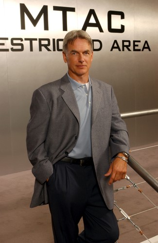 Ranking najlepiej zarabiających aktorów amerykańskiej telewizji