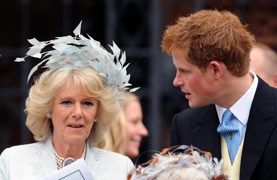Camilla teljesen ledöbbent azon, amit Harry mondott. Fotó: Getty Images