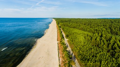 Dzikie, długie i szerokie. Takie są plaże w Krynicy Morskiej