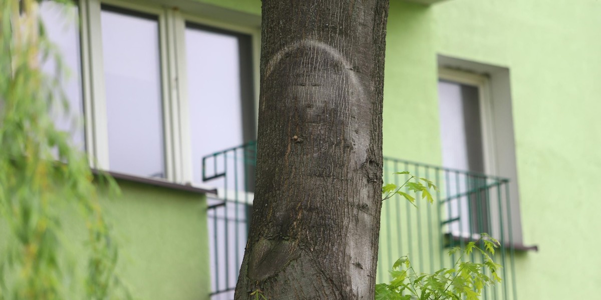 Kuria odziera parczewian z marzeń o cudzie na "świętym drzewie". Statystyki są brutalne.