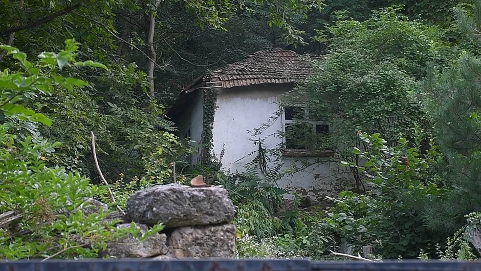 Kuće koje je rastinje "progutalo"