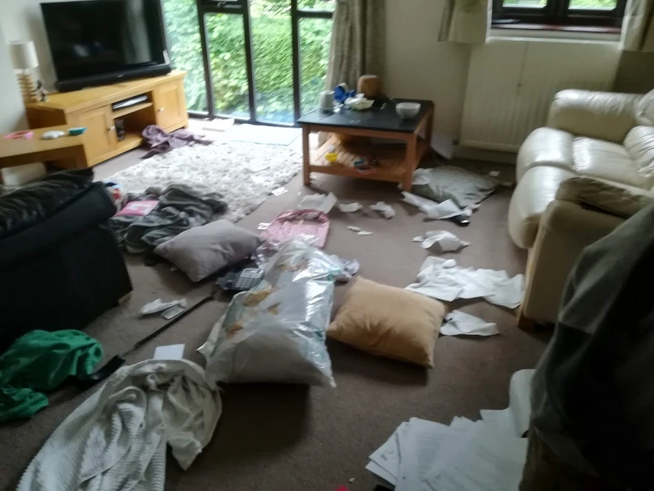 Kada dobije napad, Vilijam ruši sve po kući