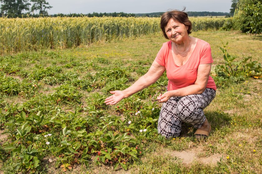 Czy Polska wyschnie na wiór?