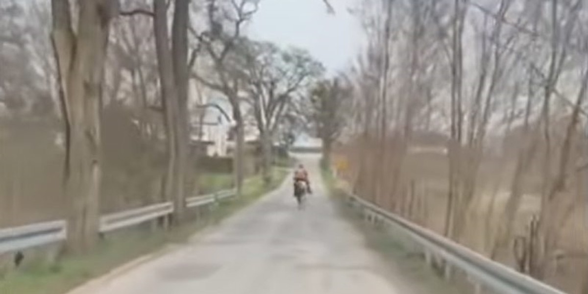 Międzychód. Galopem uciekał przed policją. Film robi furorę.