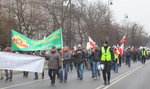 Rolnicy stawiają w Warszawie miasteczko