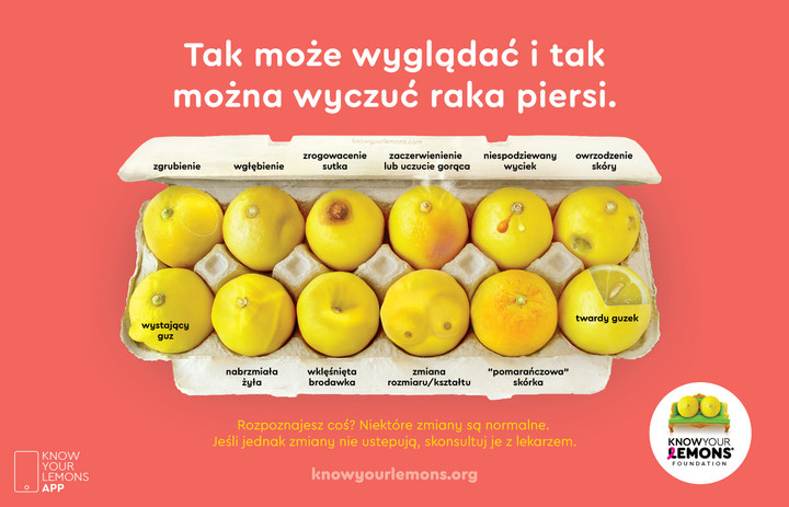 12 objawów raka piersi / Screen ze strony pl.knowyourlemons.org