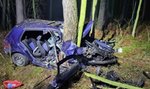 Tragedia pod Pleszewem. Nie żyje dwóch nastolatków. Przerażające ustalenia śledczych