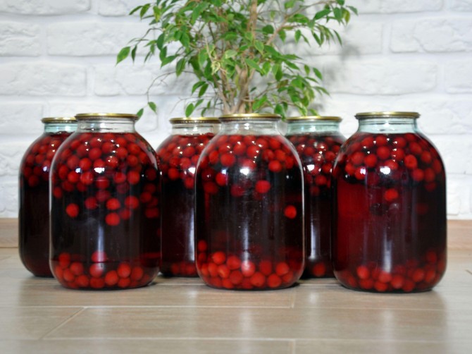 Kompot od trešanja