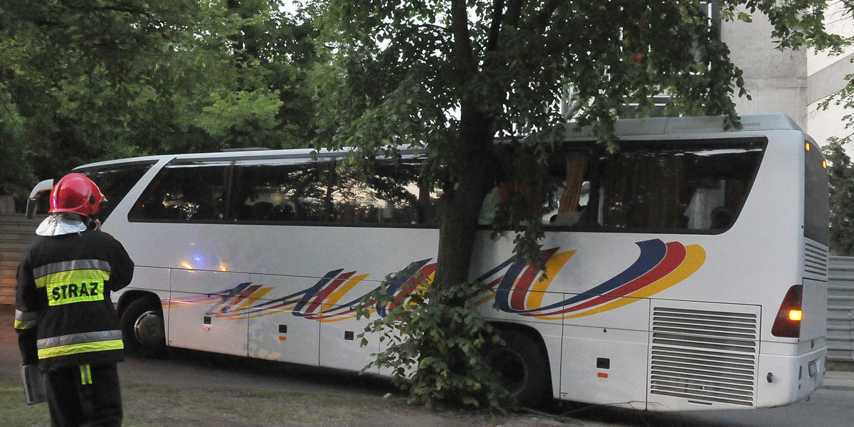 sopot autobus zawracanie drzewo