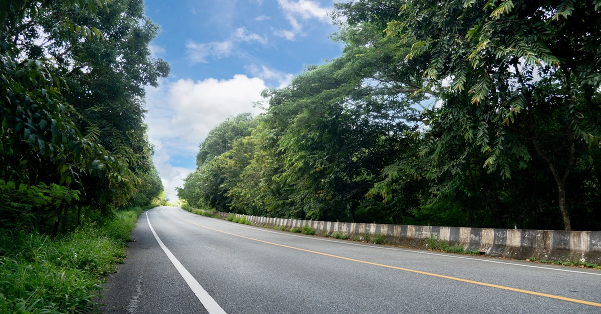 Tymi drogami daleko nie zajedziesz. Najkrótsze drogi krajowa i wojewódzka w Polsce