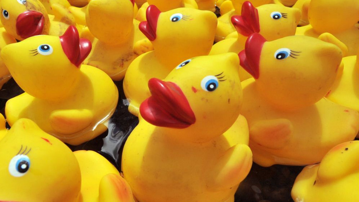 Duck Race