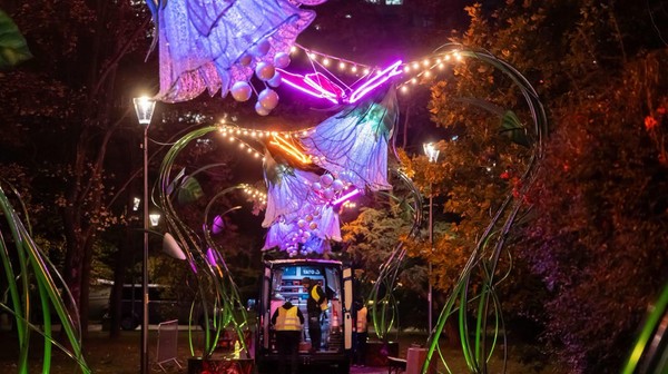 Nowe iluminacje w centrum Warszawy już działają. Po zmroku park zamienia się w bajkę