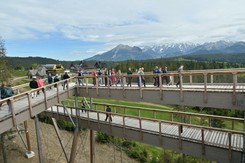 Nowa atrakcja Podhala miała zachwycać, a budzi kontrowersje. 'Wielu przeciera oczy ze zdumieniem'