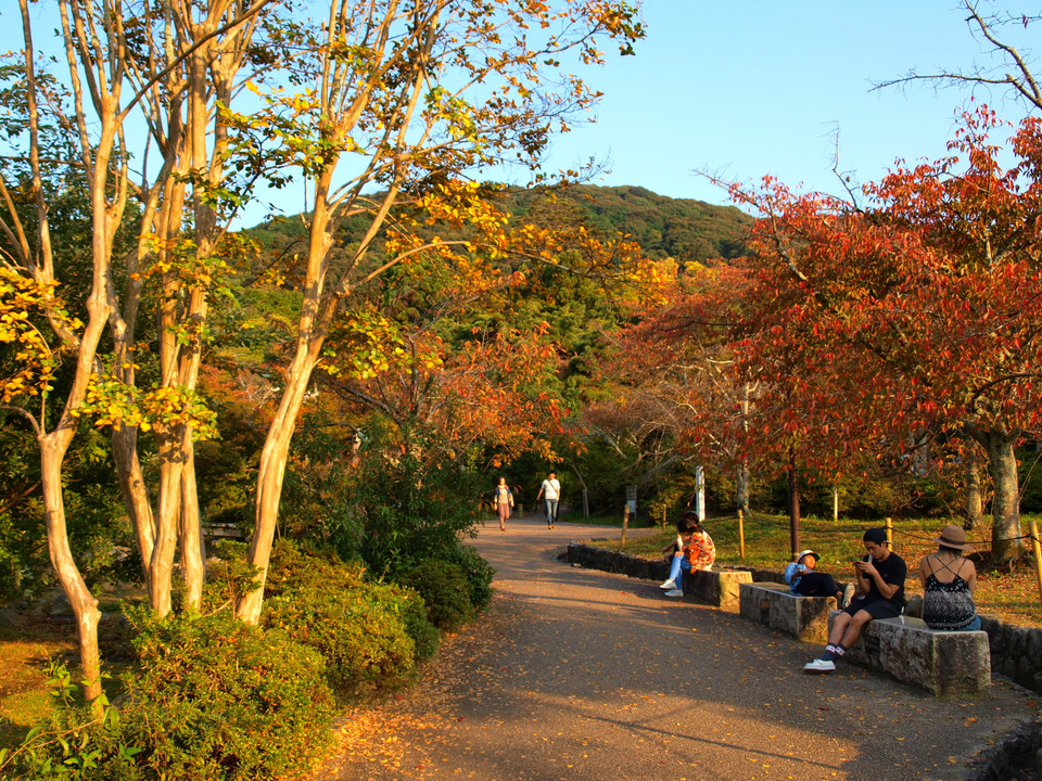 Kioto - park Maruyama