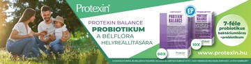 EK Banner Balance 970x250 3