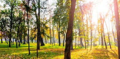 W czwartek nareszcie cieplej. Temperatura do 23 stopni na zachodzie kraju. Miejscami przelotny deszcz