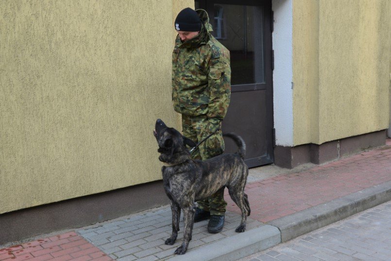 Psy służbowe w akcji