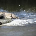 Usuwanie skutków awarii w Czajce potrwa kilka lat. Ekspert: do rozwiązania problemu potrzeba nakładów jak na budowę metra