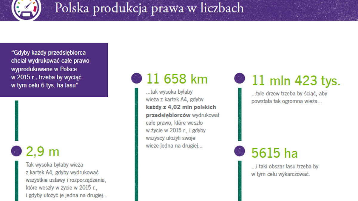Polska produkcja prawa w liczbach infografika