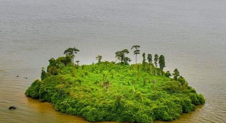 l'île e aux serpents à Yopougon/Nader Fakhry