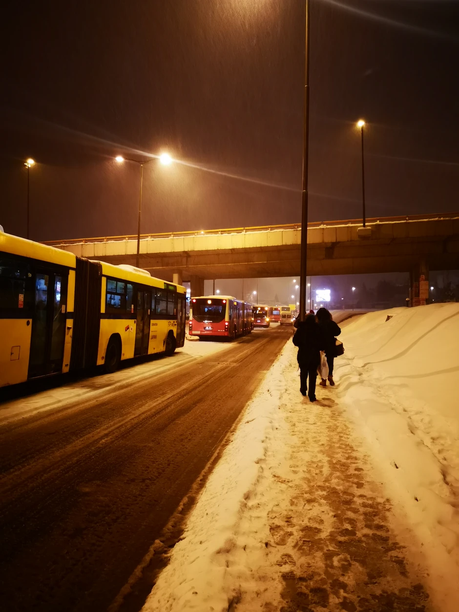 Duge kolone kod Pančevačkog mosta