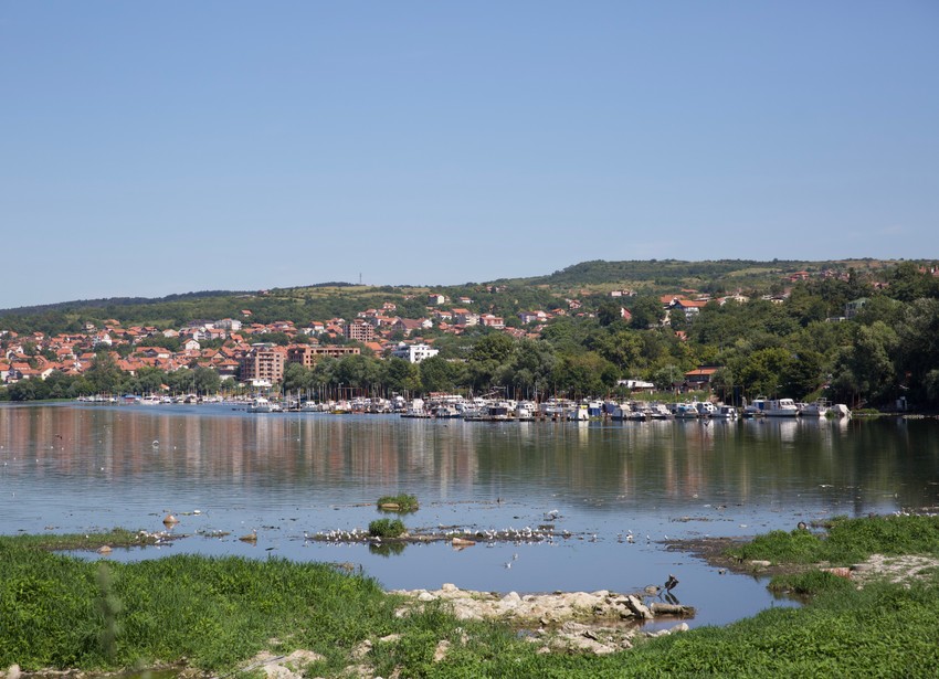 Zagađen rukavac na Adi Huji