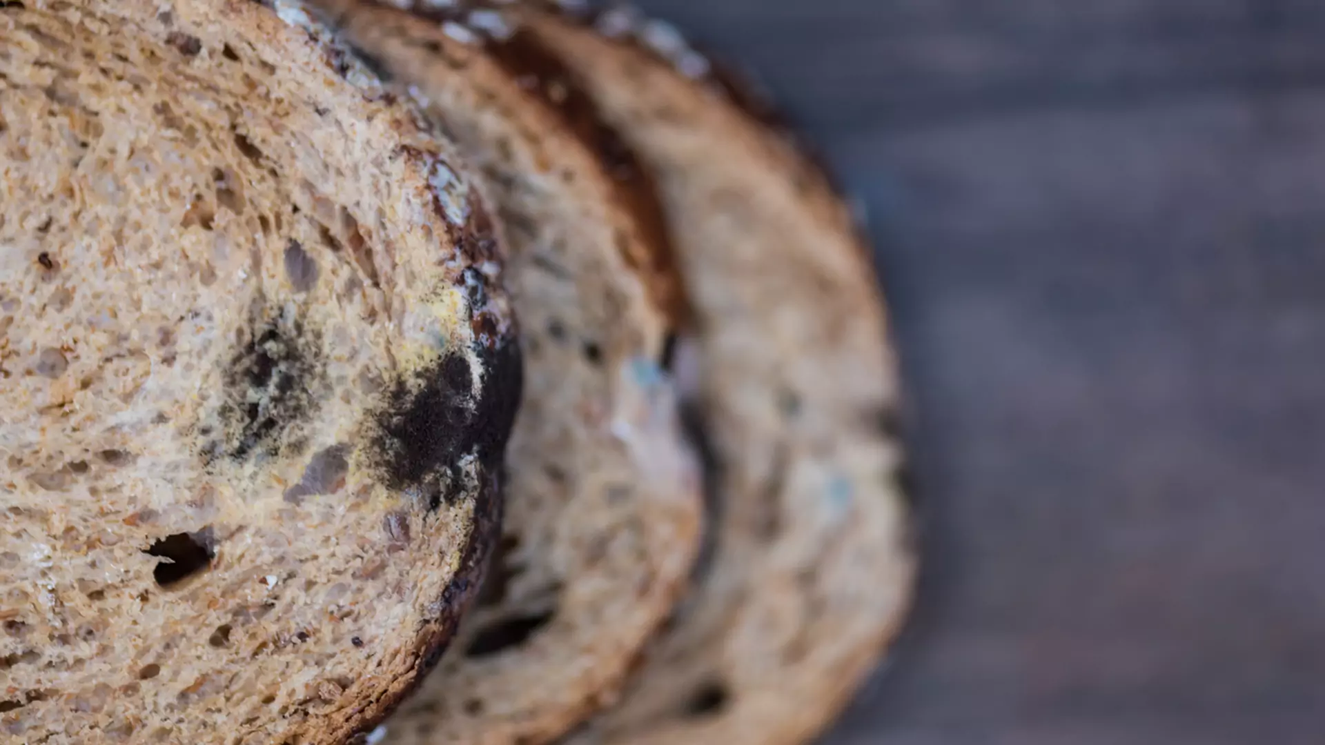 NIGDY nie jedz "czystej" części spleśniałego chleba!