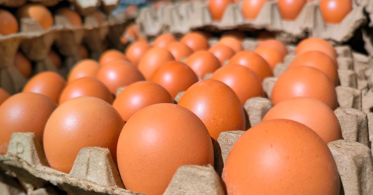 Ta sieć sklepów wycofuje ze sprzedaży jaja z chowu klatkowego. Są ważne powody