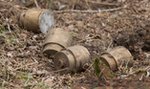 Części pojemników z kobaltem jednak nie skradziono