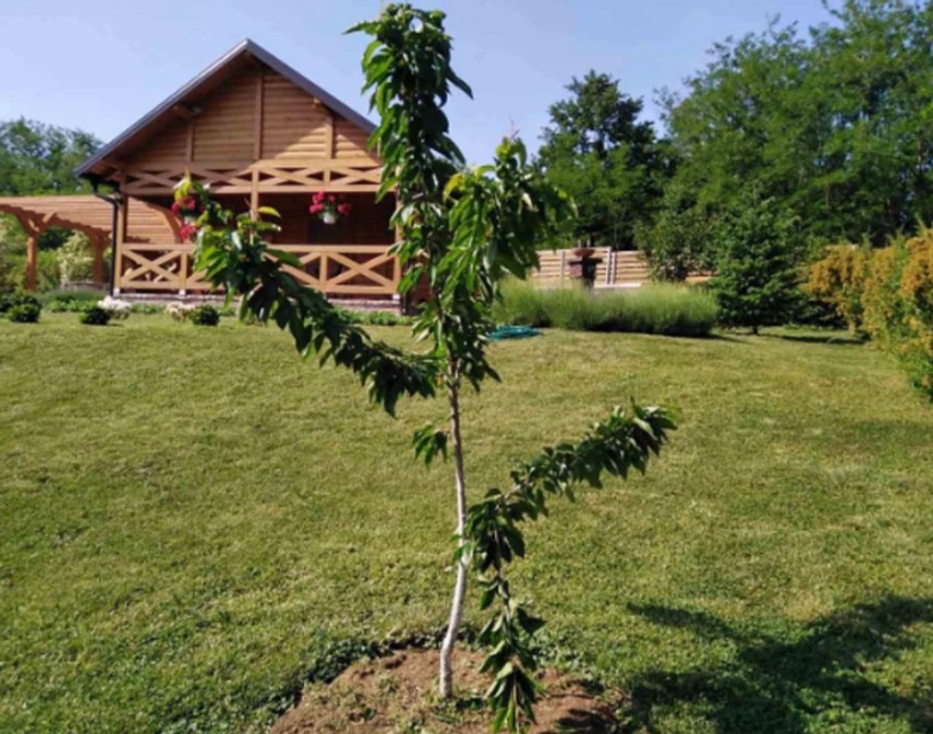 Vikendica Suzane Mančić