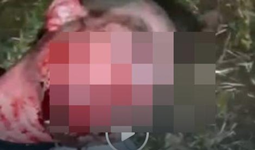 Nesrećni Andrej Cekuta preminuo je u Ljublani