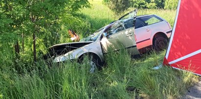 Tragiczny wypadek pod Zgorzelcem. Policja zna już tożsamość pirata drogowego!