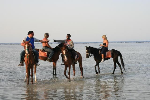 Galeria Egipt - Marsa Alam, obrazek 38