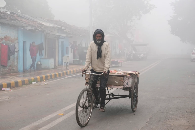 Tan2023-12-2707491483 0