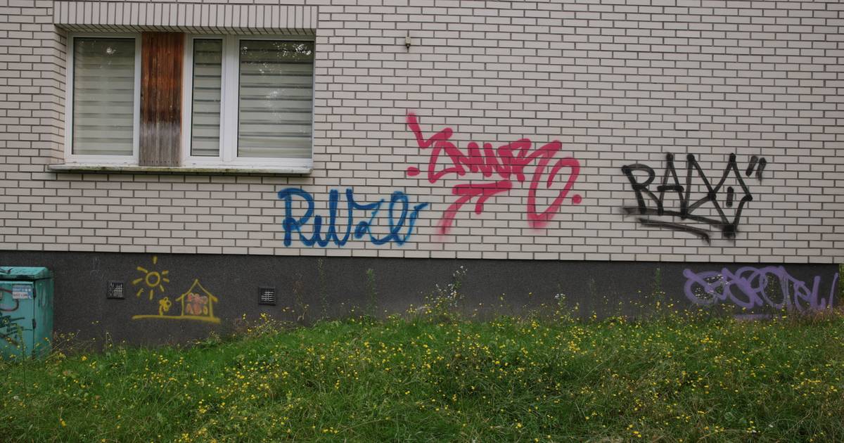 Spółdzielnia wystawiła list gończy za wandalami. Wysoka nagroda za pomoc