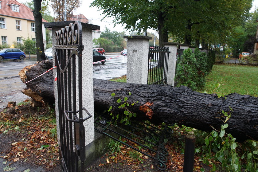 Groza w Gdańsku. Władze zamknęły cmentarze i parki