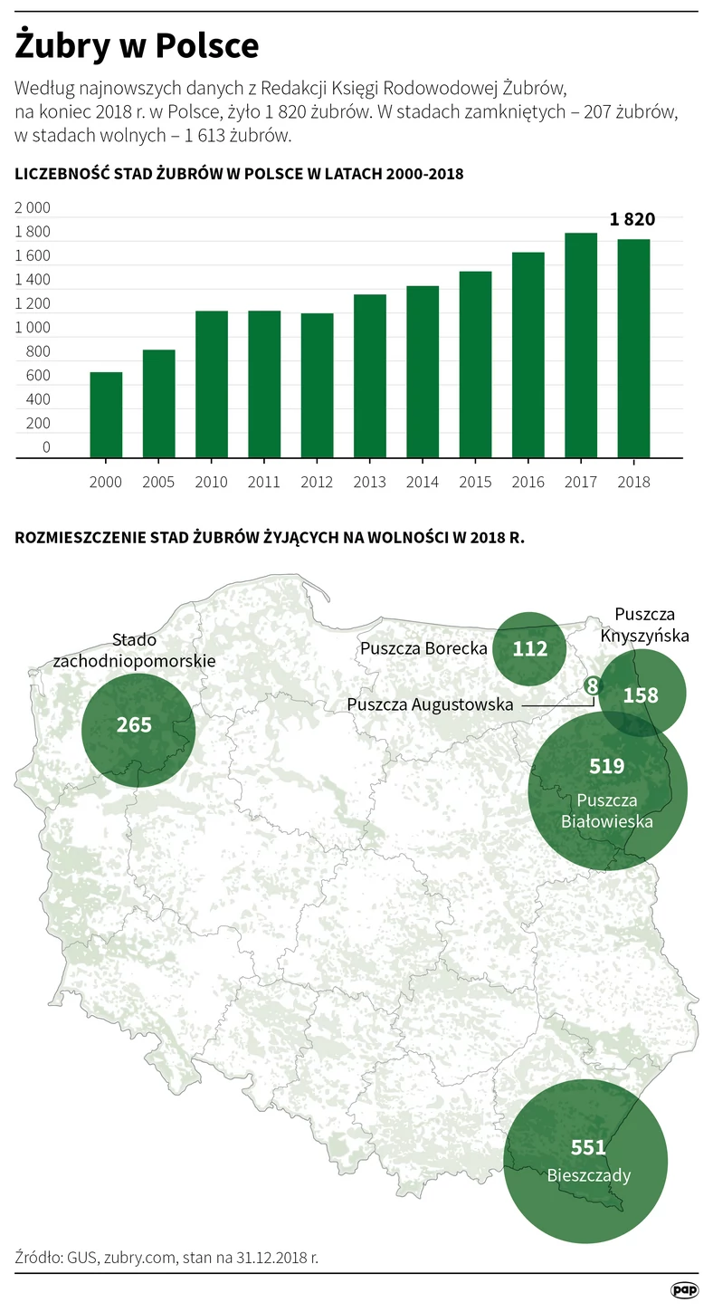 Żubry w Polsce