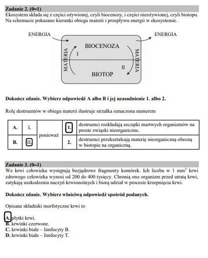 Egzamin gimnazjalny 2019 CKE matematyczno-przyrodniczy. Arkusze i odpowiedzi