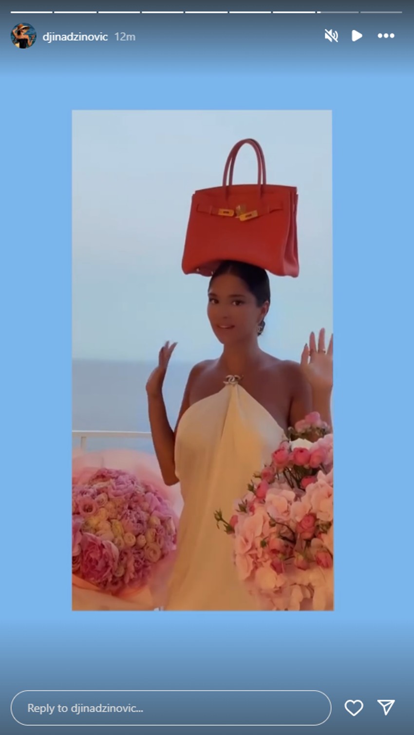 Đina Džinović, objava